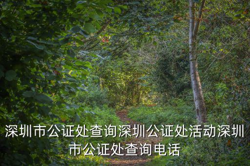 深圳市公證處查詢深圳公證處活動深圳市公證處查詢電話