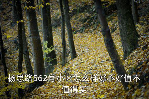 楊思路562號小區怎么樣好不好值不值得買