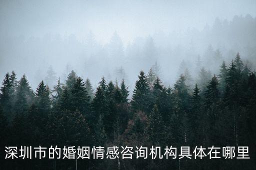 深圳市的婚姻情感咨詢機構(gòu)具體在哪里