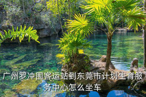 廣州羅沖圍客運站到東莞市計劃生育服務中心怎么坐車
