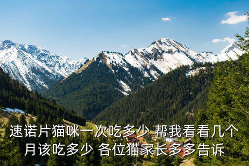 速諾片貓咪一次吃多少 幫我看看幾個月該吃多少 各位貓家長多多告訴