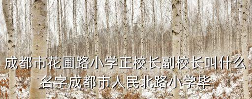 成都市花圃路小學正校長副校長叫什么名字成都市人民北路小學畢