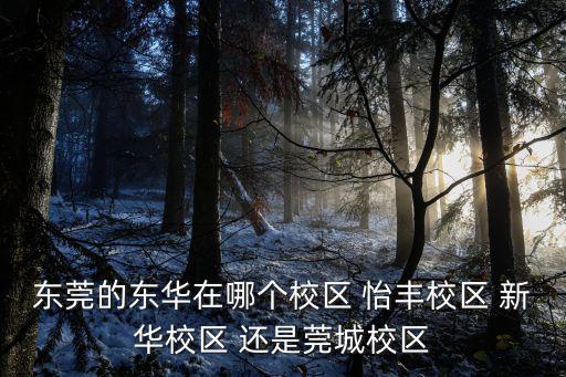 東莞的東華在哪個校區(qū) 怡豐校區(qū) 新華校區(qū) 還是莞城校區(qū)