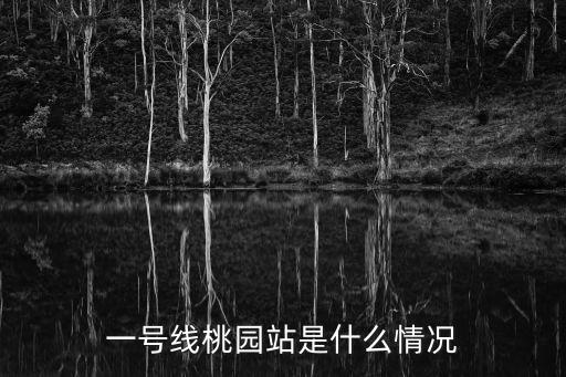 一號(hào)線(xiàn)桃園站是什么情況