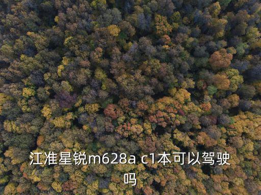 江準星銳m628a c1本可以駕駛嗎
