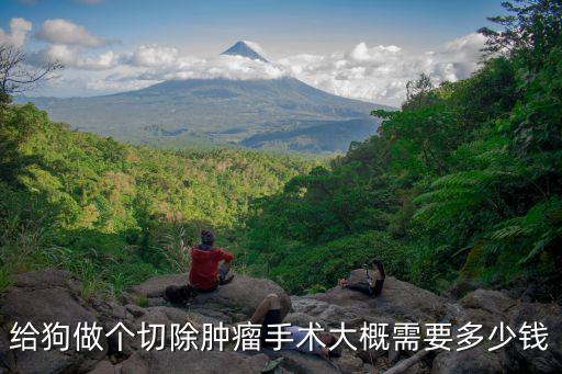 狗狗囊腫開刀多少錢，請問做囊腫手術要多少錢