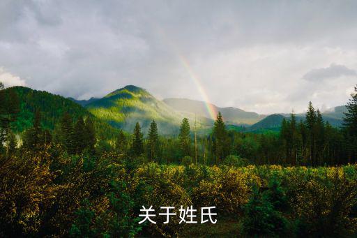 關于姓氏