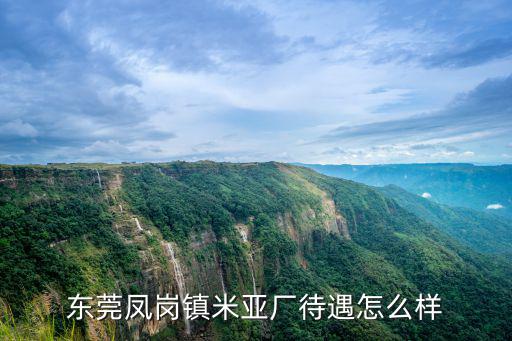 東莞鳳崗鎮(zhèn)米亞廠待遇怎么樣