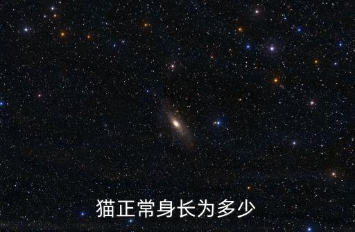 貓正常身長為多少