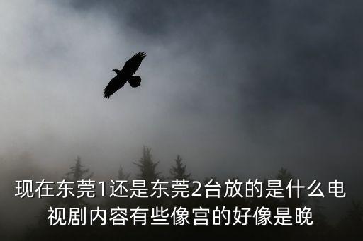 現在東莞1還是東莞2臺放的是什么電視劇內容有些像宮的好像是晚