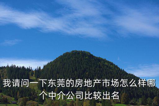 東莞房屋中介公司，我請問一下東莞的房地產市場怎么樣哪個中介公司比較出名