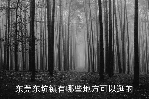 東莞東坑鎮(zhèn)有哪些地方可以逛的