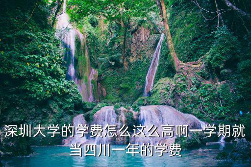 深圳大學的學費怎么這么高啊一學期就當四川一年的學費