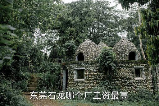 東莞石龍哪個廠工資最高