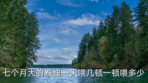 七個月大的泰迪一天喂幾頓一頓喂多少