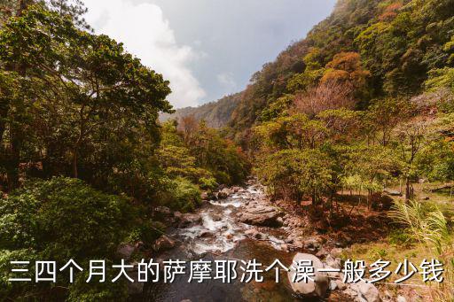 成年薩摩洗澡多少錢，大型薩摩耶去寵物店洗澡要多少錢