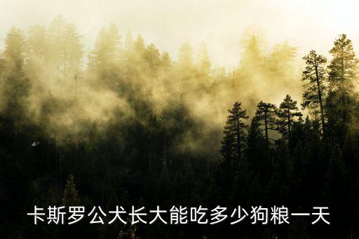 卡斯羅公犬長大能吃多少狗糧一天