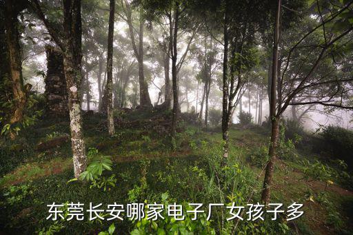 東莞長(zhǎng)安哪家電子廠女孩子多