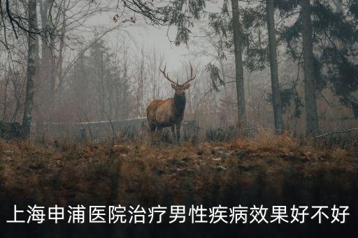 上海申浦醫院治療男性疾病效果好不好