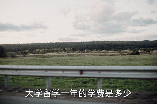 大學留學一年的學費是多少