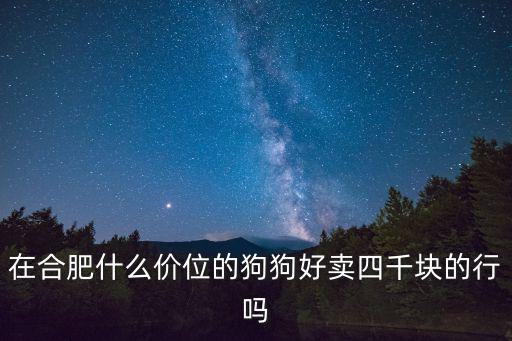 在合肥什么價位的狗狗好賣四千塊的行嗎