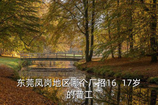 東莞鳳崗地區哪個廠招16  17歲 的普工