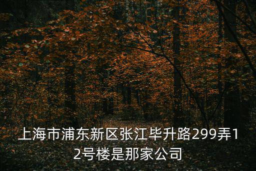 上海市浦東新區張江畢升路299弄12號樓是那家公司