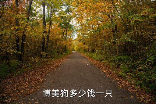 博美狗多少錢一只