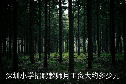 深圳小學招聘教師月工資大約多少元