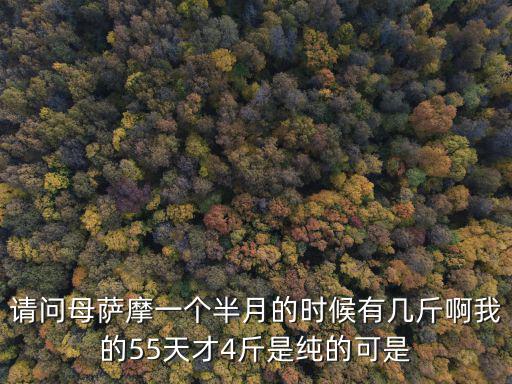 請(qǐng)問(wèn)母薩摩一個(gè)半月的時(shí)候有幾斤啊我的55天才4斤是純的可是