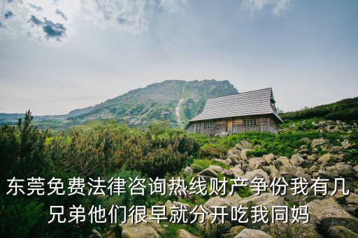 東莞免費法律咨詢熱線財產爭份我有幾兄弟他們很早就分開吃我同媽