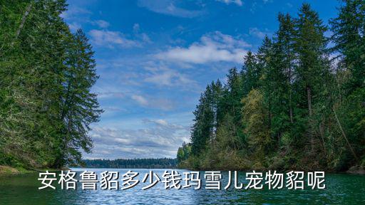 安格魯貂多少錢瑪雪兒寵物貂呢