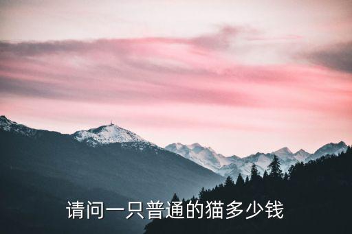 請問一只普通的貓多少錢