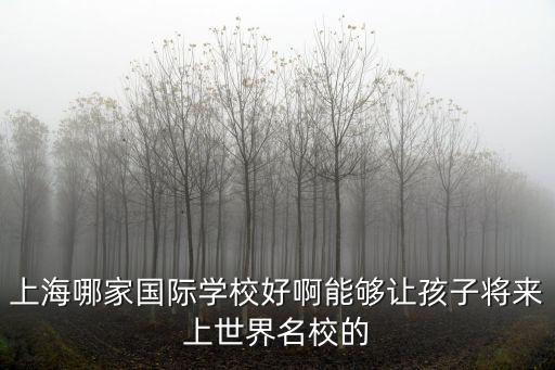 上海哪家國際學校好啊能夠讓孩子將來上世界名校的