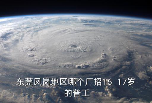 東莞鳳崗地區哪個廠招16  17歲 的普工