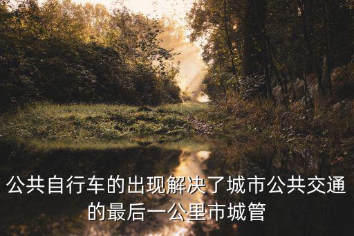 公共自行車的出現解決了城市公共交通的最后一公里市城管