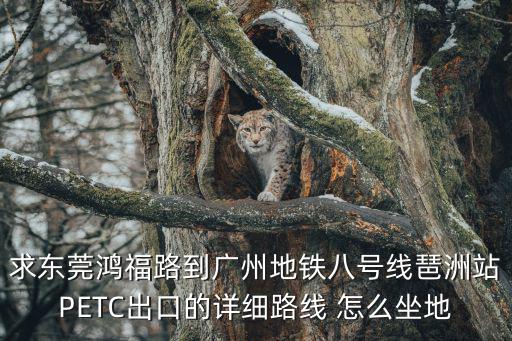 求東莞鴻福路到廣州地鐵八號線琶洲站PETC出口的詳細路線 怎么坐地