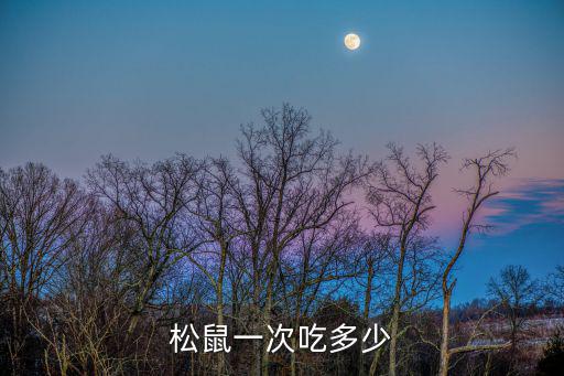 松鼠一次吃多少
