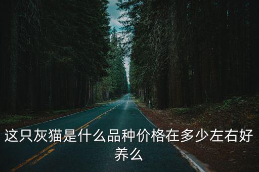 這只灰貓是什么品種價格在多少左右好養么