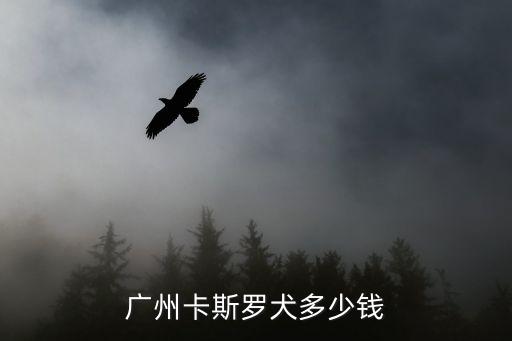 廣州卡斯羅犬多少錢