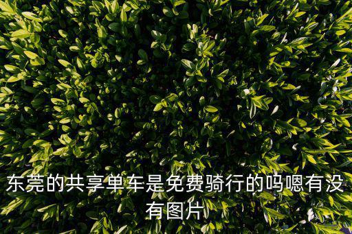 東莞的共享單車是免費(fèi)騎行的嗎嗯有沒有圖片