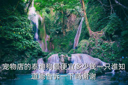 寵物店的泰迪狗最便宜多少錢(qián)一只誰(shuí)知道能告訴一下嗎謝謝