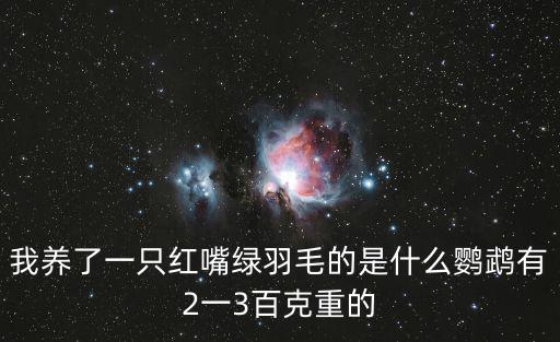 紅嘴綠雀多少錢一只，紅嘴綠縈格