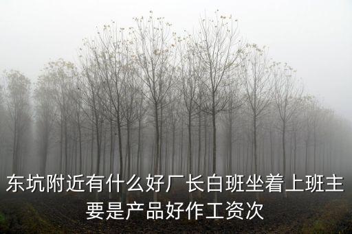 東坑附近有什么好廠長白班坐著上班主要是產(chǎn)品好作工資次
