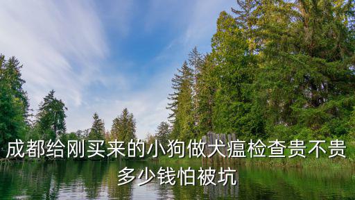 成都給剛買來的小狗做犬瘟檢查貴不貴多少錢怕被坑