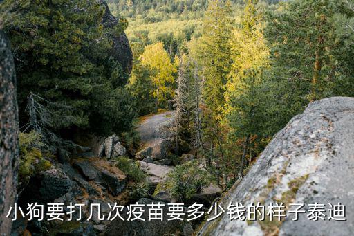 小狗要打幾次疫苗要多少錢的樣子泰迪