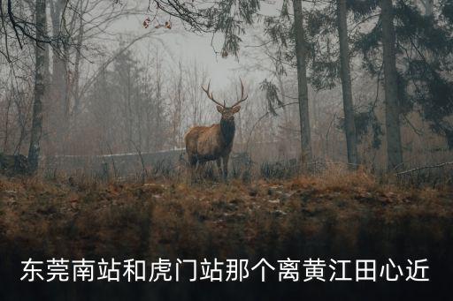東莞南站和虎門站那個離黃江田心近