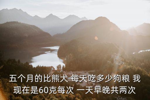 五個月的比熊犬 每天吃多少狗糧 我現在是60克每次 一天早晚共兩次