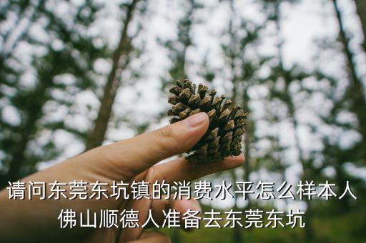 請問東莞東坑鎮(zhèn)的消費(fèi)水平怎么樣本人佛山順德人準(zhǔn)備去東莞東坑