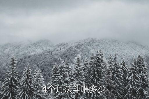 4個月法斗喂多少